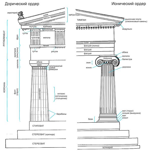 Элементы колонн дорического и ионического ордера.